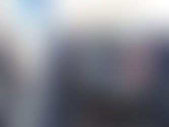 Los perros callejeros también impactan el medio ambiente 