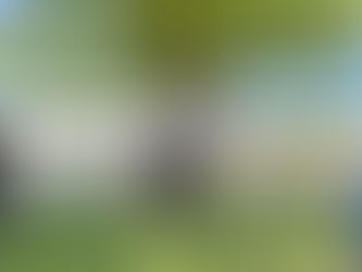 Manos a la obra; darán mantenimiento a la Laguna de Naranja y al libramiento