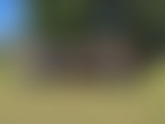 Se Llevan a Cabo los Torneos de Fiestas Patrias en Tangancícuaro 2025