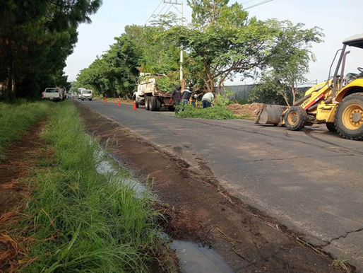 Gobierno de Tangancícuaro realiza poda preventiva para reforzar la seguridad vial