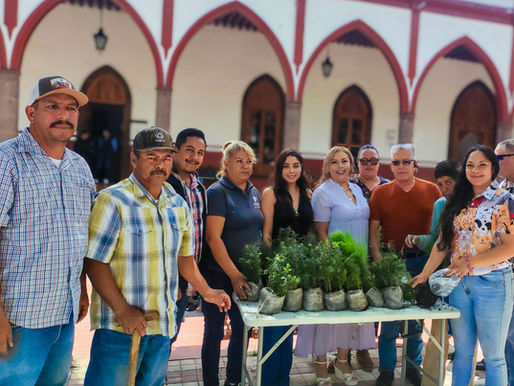 Purépero se Vuelve más Verde, Entregan 800 Pinos Gratuitos a la Comunidad