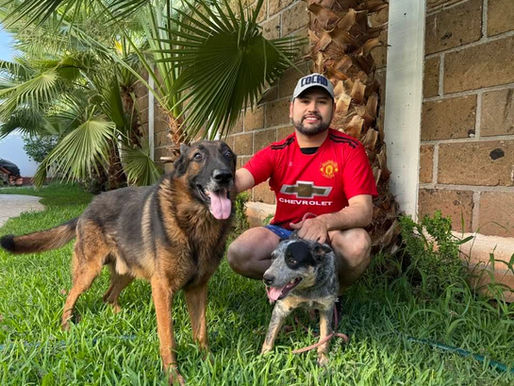 Octavio Ocampo resalta importancia de creación de Institutos Municipales de Protección Animal; propuesta que hizo llegar al pleno