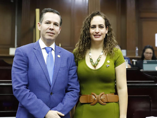 Diputados del PVEM proponen fondo para reparar daños a víctimas de violencia masiva en Michoacán