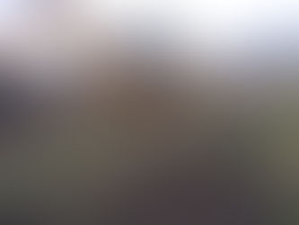 Se realiza trabajos de saneamiento en los canales del ejido de Coeneo