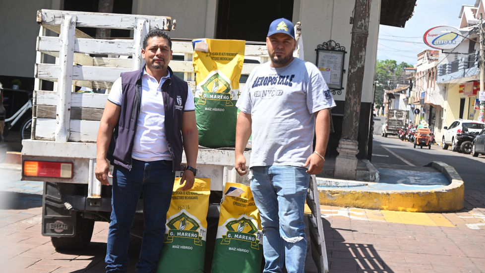 Impulsa gobierno de Tangancícuaro apoyo al campo con entrega de semilla de maíz híbrido