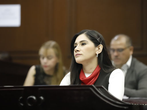 Desde las leyes debemos combatir la violencia de género: Diana Espinoza