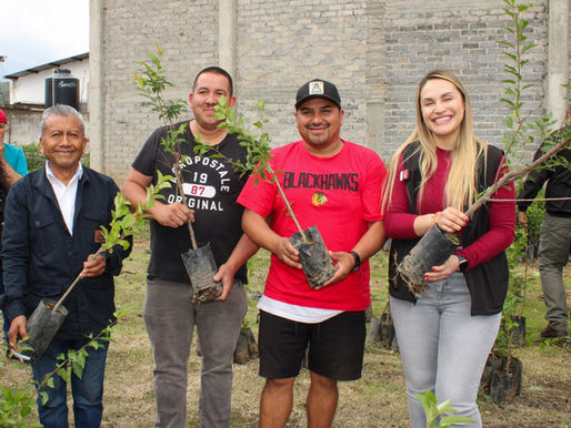 Impulsan desarrollo rural con entrega de árboles frutales en Coeneo