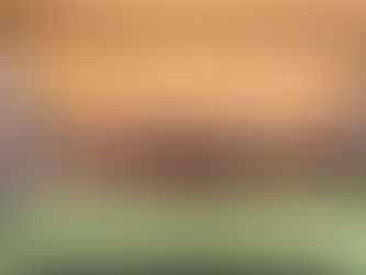 Luis Felipe León, el único alcalde en la región, con inversión histórica para pavimento hidráulico