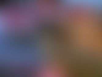 8.ª Jornada Gratuita de esterilización canina y felina, para reducir población en situación de calle