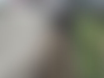 Realiza gobierno de Coeneo saneamiento a los canales de desagüe en la cabecera municipal