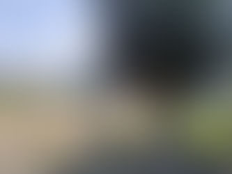 Realizan mantenimiento integral en el parque de la colonia Lázaro Cárdenas de Panindícuaro