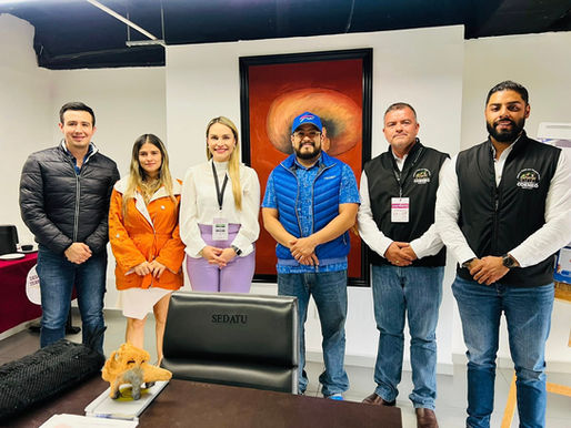 Presidenta de Coeneo se Reúne con Funcionarios de SEDATU para Gestionar Proyectos de Mejoramiento Urbano