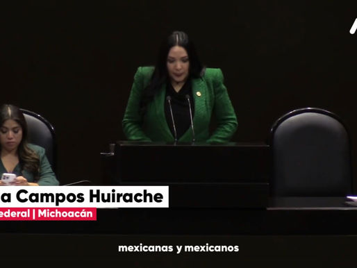 En Michoacán y México lo que más nos hace falta es la seguridad: Adriana Campos Huirache