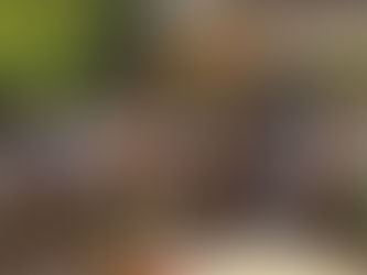 DIF de Erongarícuaro entrega 14 lentes a habitantes de distintas comunidades para mejorar su salud visual