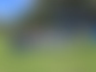 Trabajo en conjunto ayuntamiento, COFOM e iniciativa privada, para conservar el medio ambiente