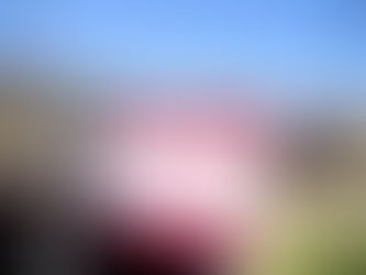 Inauguran mantenimiento de infraestructura hidráulica en el Río Ángulo; beneficia a Villa Jiménez y municipios de la región