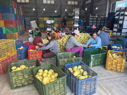 z6613696007289_ddca21b2b523c1fc090a3ef724ced907