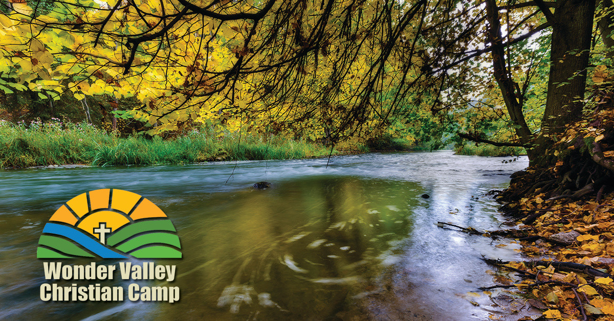 Wonder Valley Camp