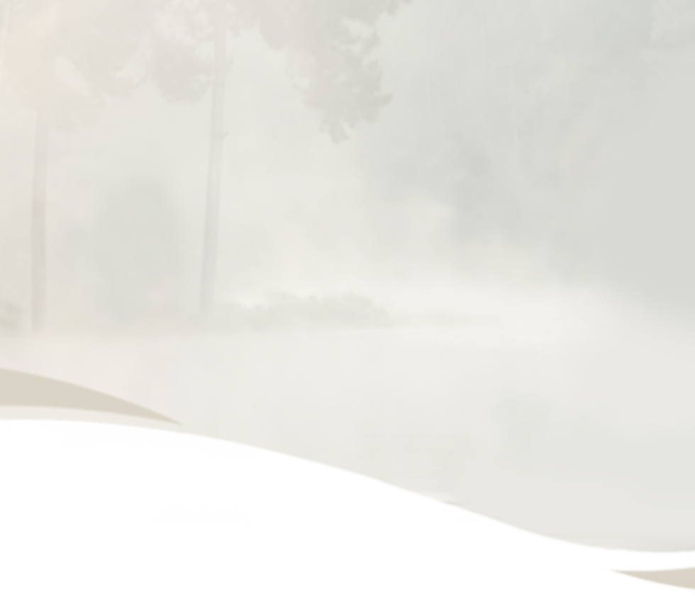 top banner-2.png