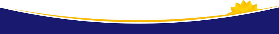 Bottom Divider