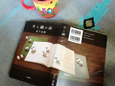 私の森の歩き方は