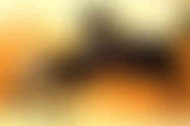 ESIPIANOSTUDIO【東京都墨田区・台東区｜ピアノ教室｜個人レッスン｜大人 】2026.01.07_8