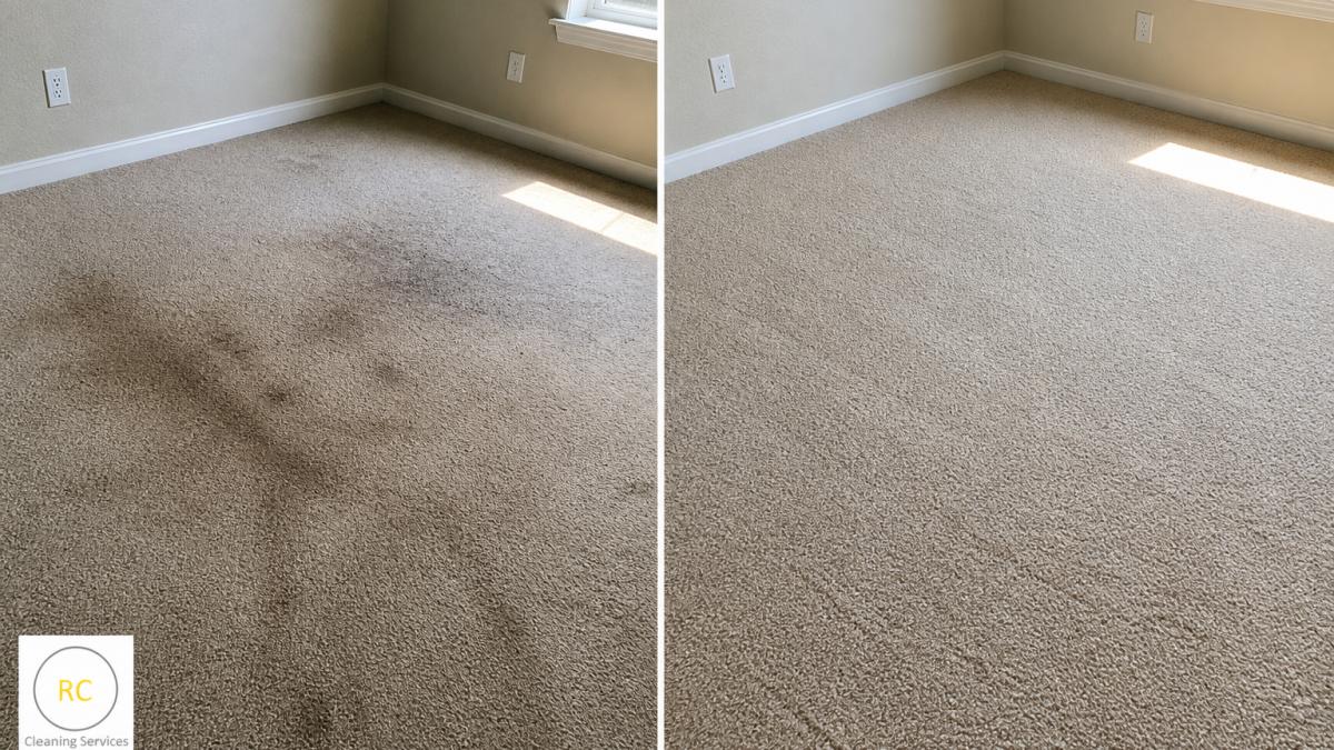 How Do You Remove Pet Stains Before Moving Out?