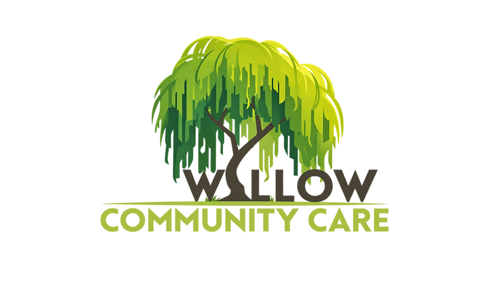 willow_logo_smaller_transparent_canvas.png