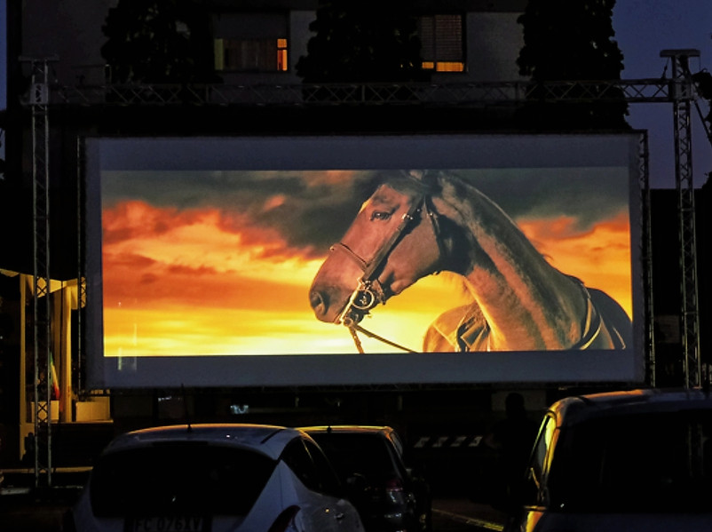 Drive in Casalgrande_edited.jpg