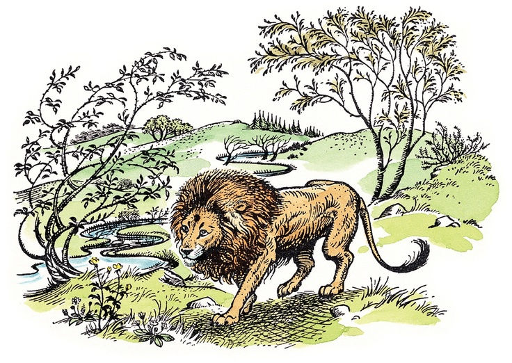 Aslan is one of my top 10 characters of all time I'm not even kidding. Go read the entire series RIGHT NOW!! Most people stop at The Lion the Witch and the Wardrobe and that's such a sad fact. Start with The Magician's Nephew and work your way up. Such a great series. (Illustrations Pauline Baynes).
