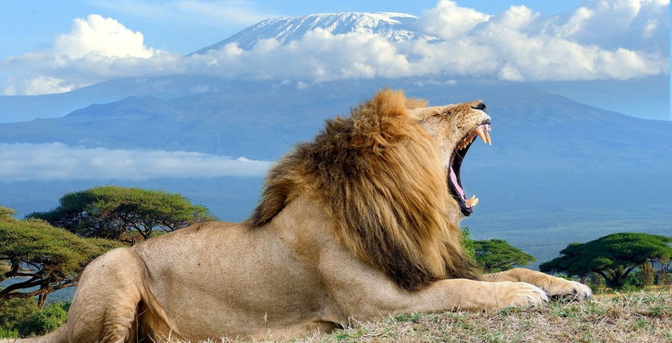 AMBOSELI NATIONAL PARK