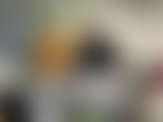 Dimanche 15 mars, j'ai présidé un bureau de vote à Francfort. 