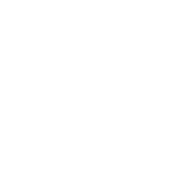 camber+_4x.webp