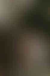 ensaio de família com bebê de 3 meses em Curitiba