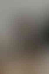 Ensaio de Natal em estúdio 2023 em Curitiba