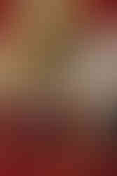 Cenário de Natal inspirado em Harry Potter, com cachecóis das casas e decoração mágica em estúdio.