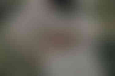 ensaio gestante lavandário dos sonhos curitiba adri cancelier