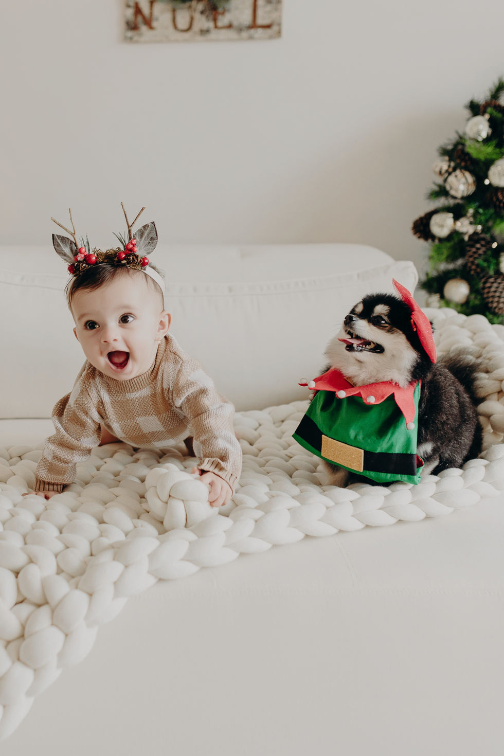 ensaio de natal