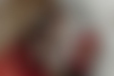 Ensaio de Natal em estúdio 2023 em Curitiba