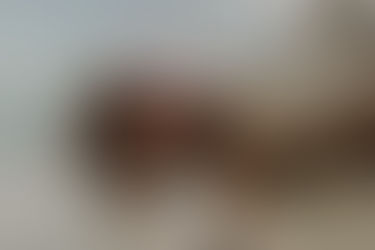 Ensaio infantil na praia da Figueira em Santa Catarina, criança brincando na areia em um dia de sol