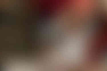 ensaio de natal harry potter curitiba