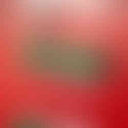 You can connect your sensors and actuators to those green headers and be ready for data logging and control, right at the edge, in all kinds of harsh conditions.