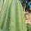 Thumbnail: PPK.23.43 Pachanoi (Juuls x Huancabamba) x Pachanoi Woody seed