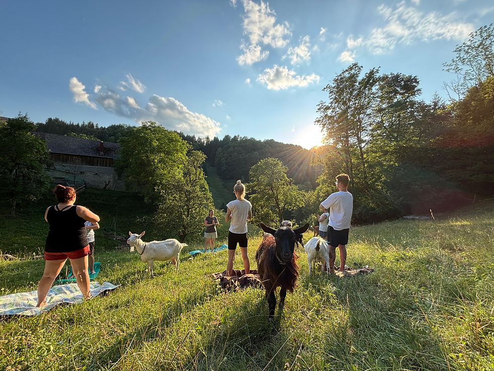 Seppi inmitten der tollen abendlichen Yoga-Einheit