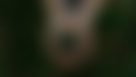 Communiqué - Les candidat.e.s d’Unissons Saguenay font leur bilan de campagne et déplorent l’absence des enjeux environnementaux