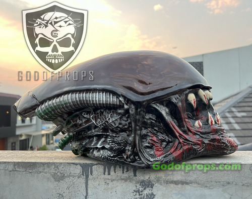 天国疫病 2nd zollmen リアルヘッド realhead buyee Sideshow Unveil The Coolprops 