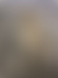 Spaying and Neutering Cats in Jamaica (Why, When, Where & Cost)