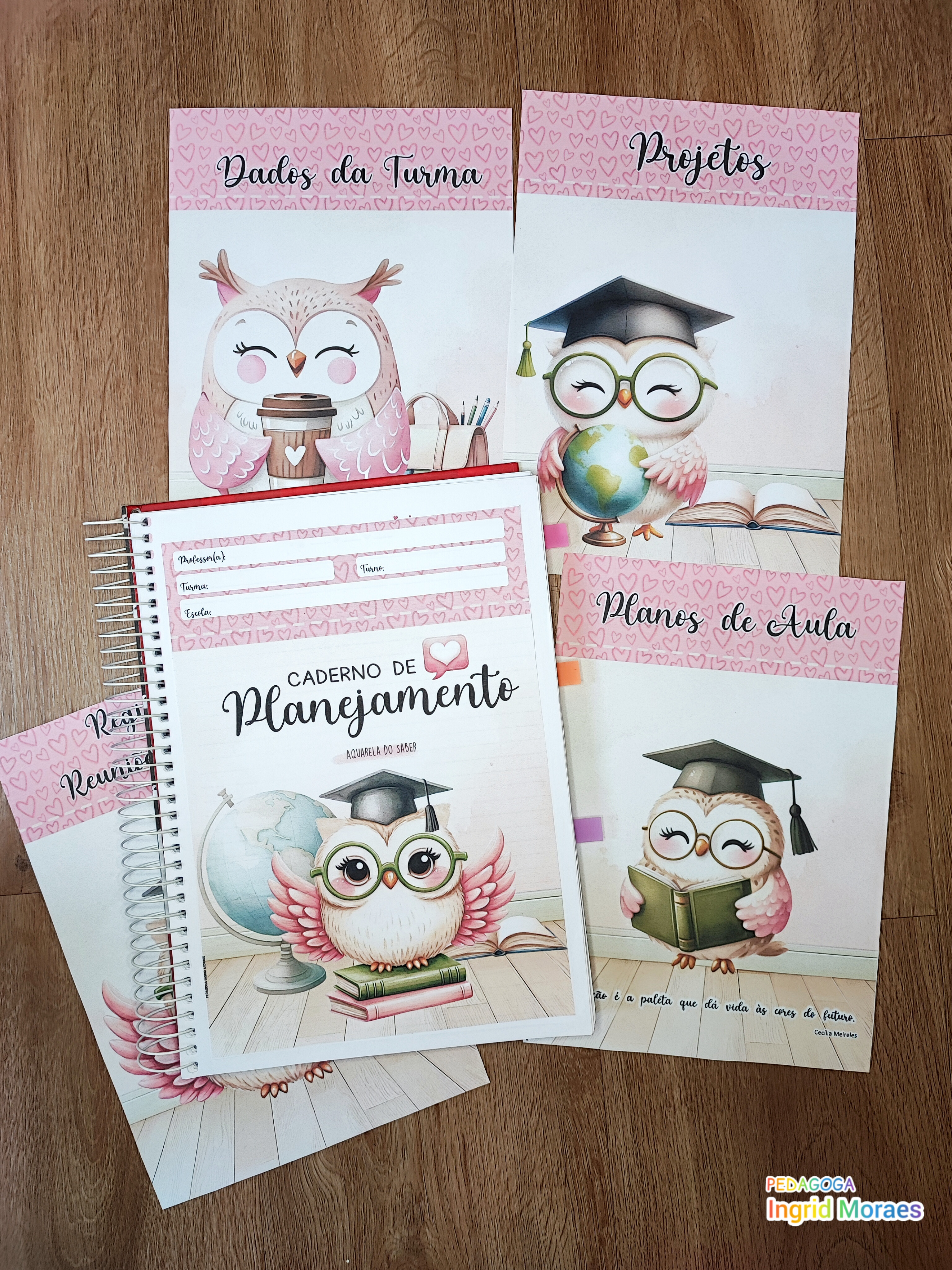 Divisórias para Caderno de Planejamento Aquarela do Saber