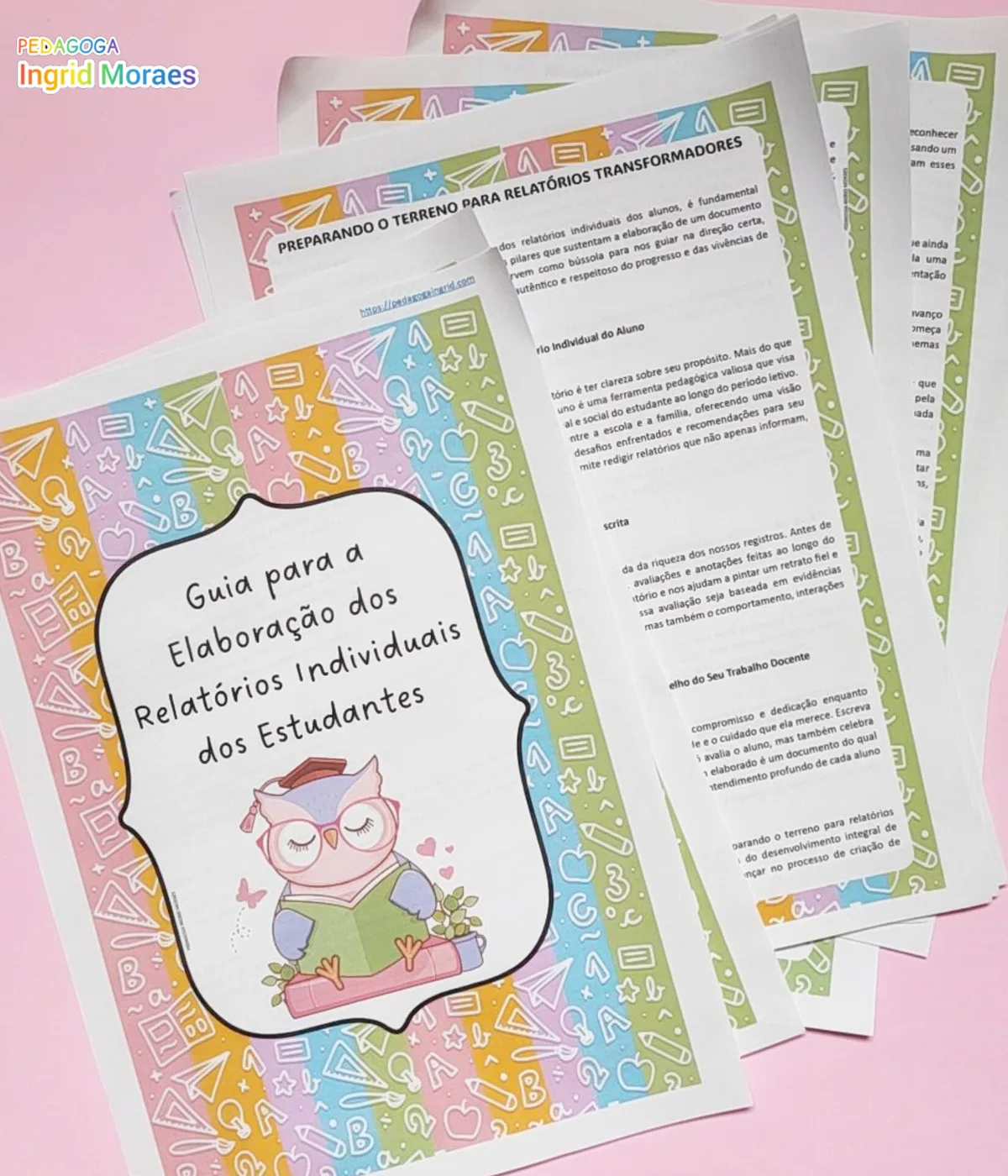 Guia Para Elaboração De Relatórios Individuais Dos Estudantes