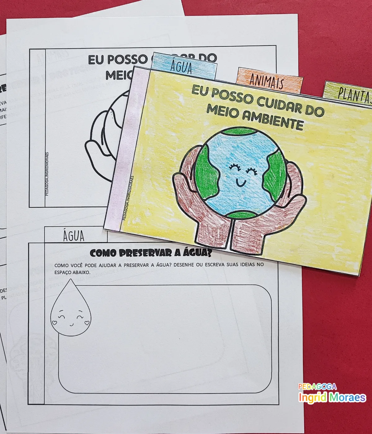Arquivinho Como Cuidar do Planeta em PDF